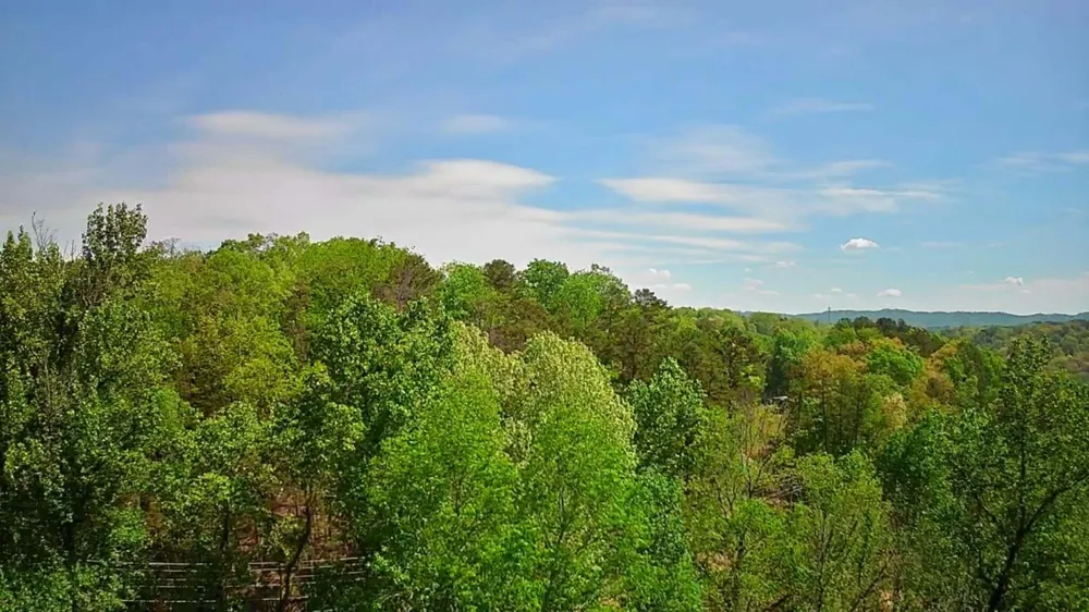 3734 Highway 41 Trail Ringgold, GA 30736