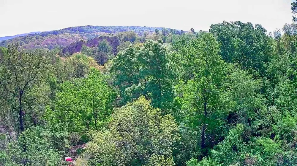 3734 Highway 41 Trail Ringgold, GA 30736