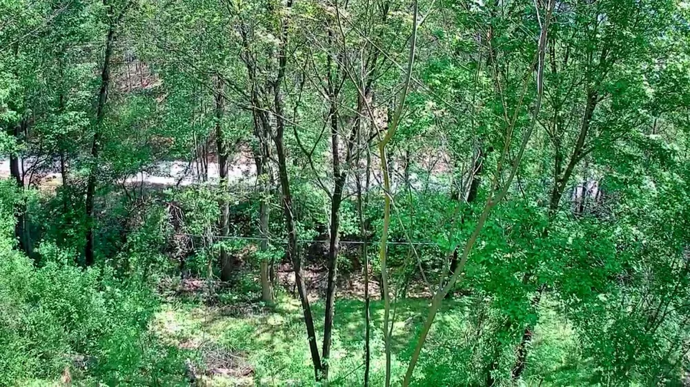 3734 Highway 41 Trail Ringgold, GA 30736