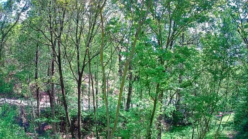 3734 Highway 41 Trail Ringgold, GA 30736