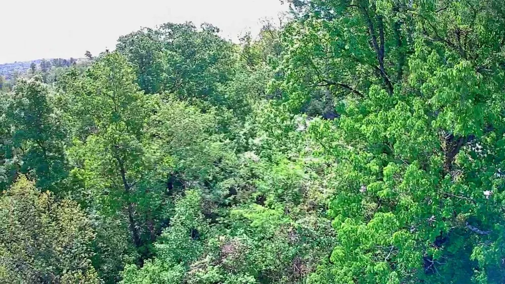 3734 Highway 41 Trail Ringgold, GA 30736