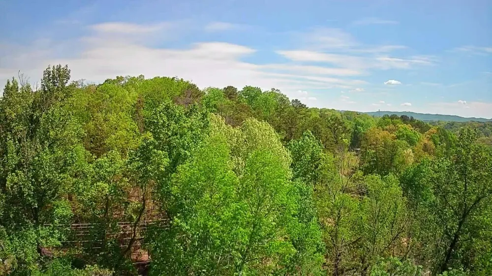 3734 Highway 41 Trail Ringgold, GA 30736