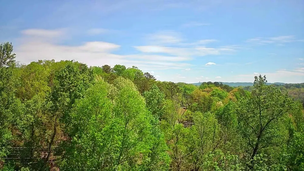 3734 Highway 41 Trail Ringgold, GA 30736