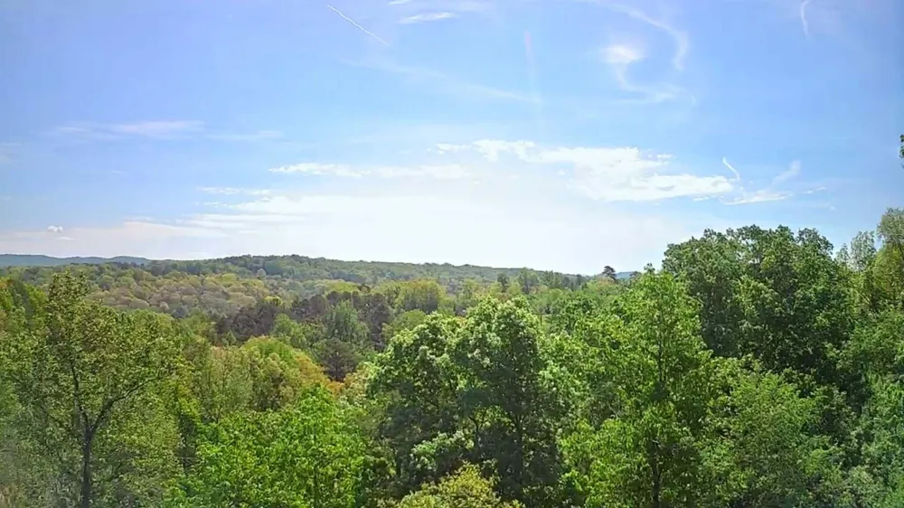 3734 Highway 41 Trail Ringgold, GA 30736