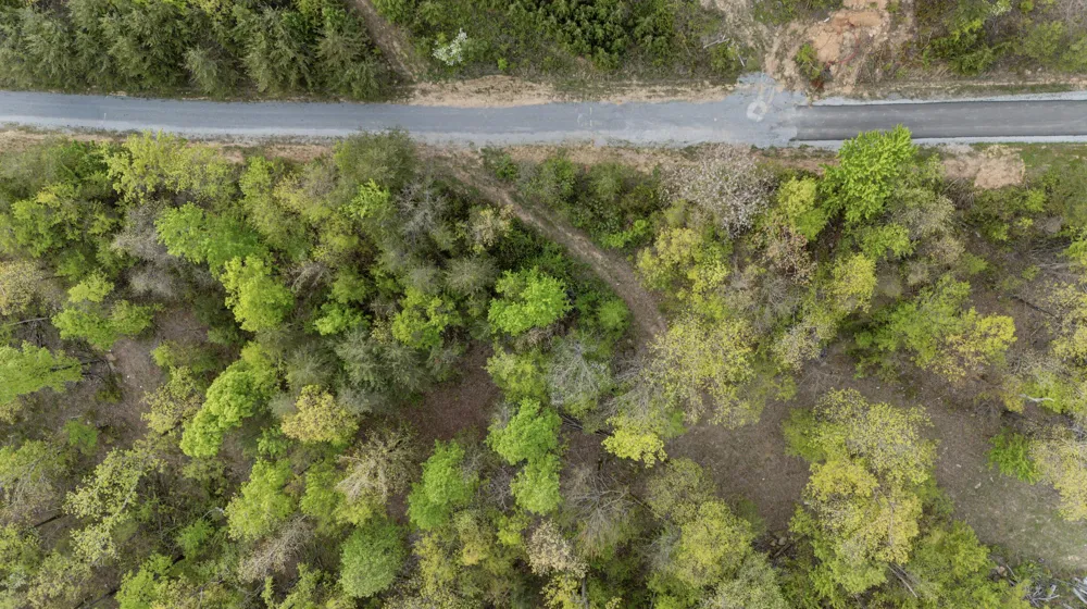 Bluff Ledge Trail Hixson, TN 37343