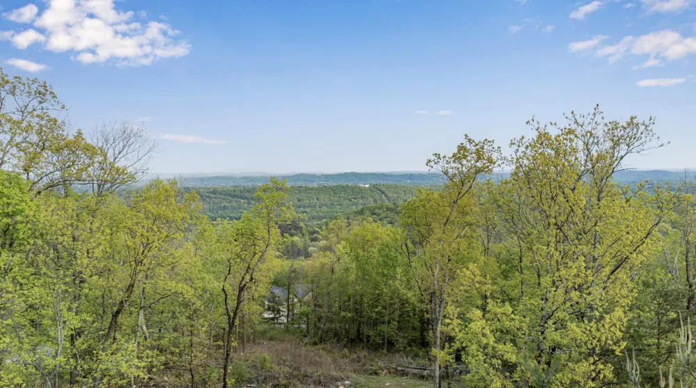 Bluff Ledge Trail Hixson, TN 37343