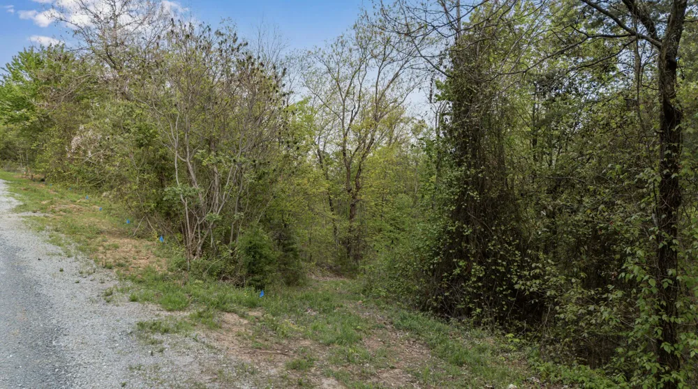Bluff Ledge Trail Hixson, TN 37343