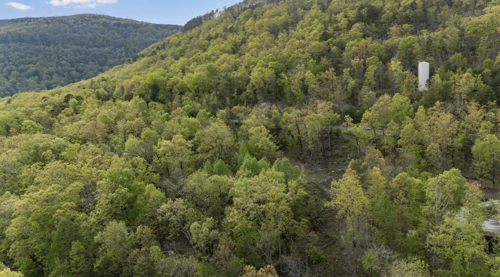 Bluff Ledge Trail Hixson, TN 37343