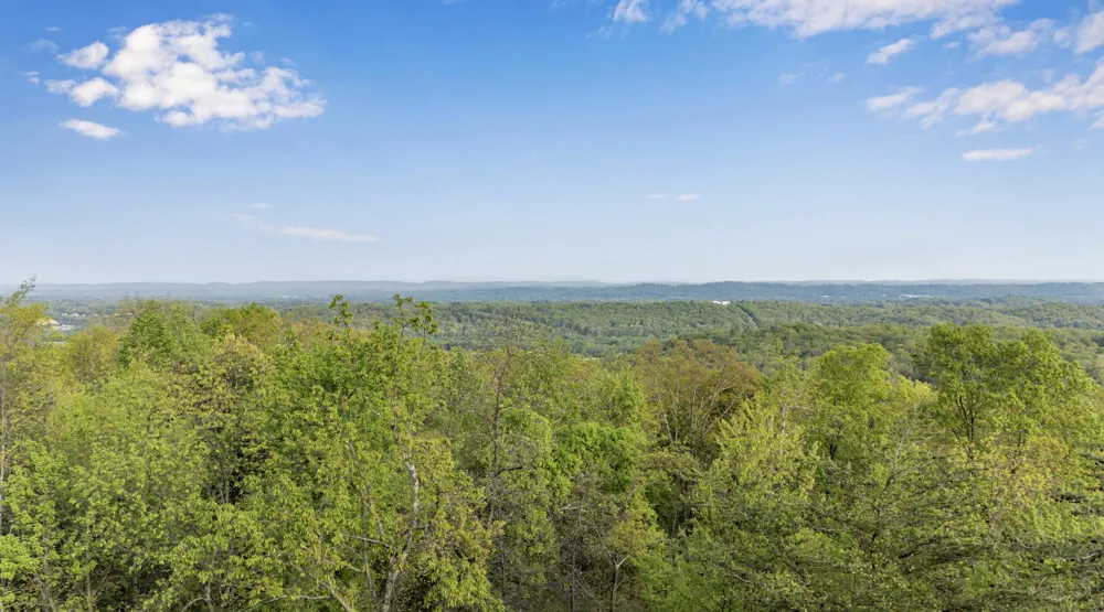 Bluff Ledge Trail Hixson, TN 37343