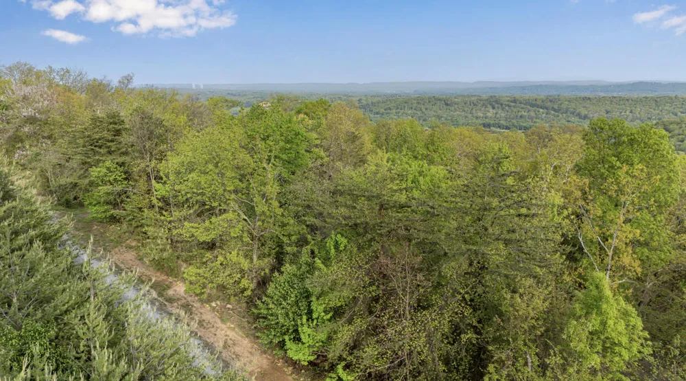 Bluff Ledge Trail Hixson, TN 37343