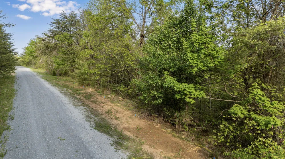 Bluff Ledge Trail Hixson, TN 37343