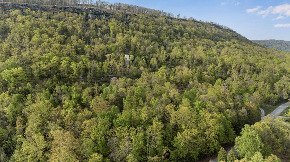 Bluff Ledge Trail Hixson, TN 37343