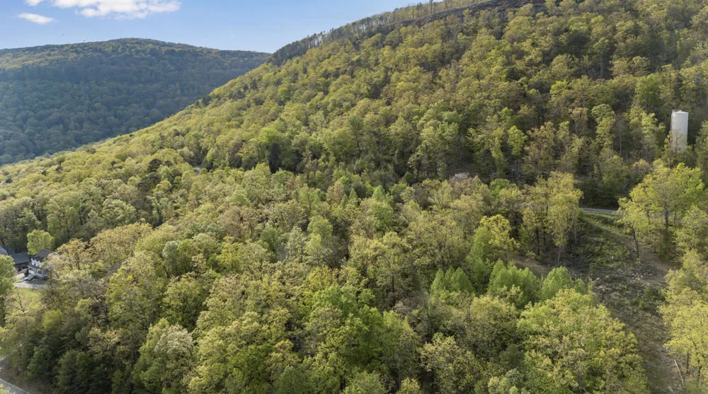 Bluff Ledge Trail Hixson, TN 37343