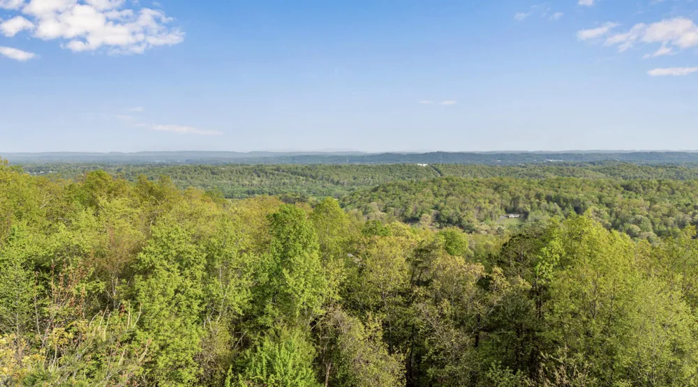 Bluff Ledge Trail Hixson, TN 37343