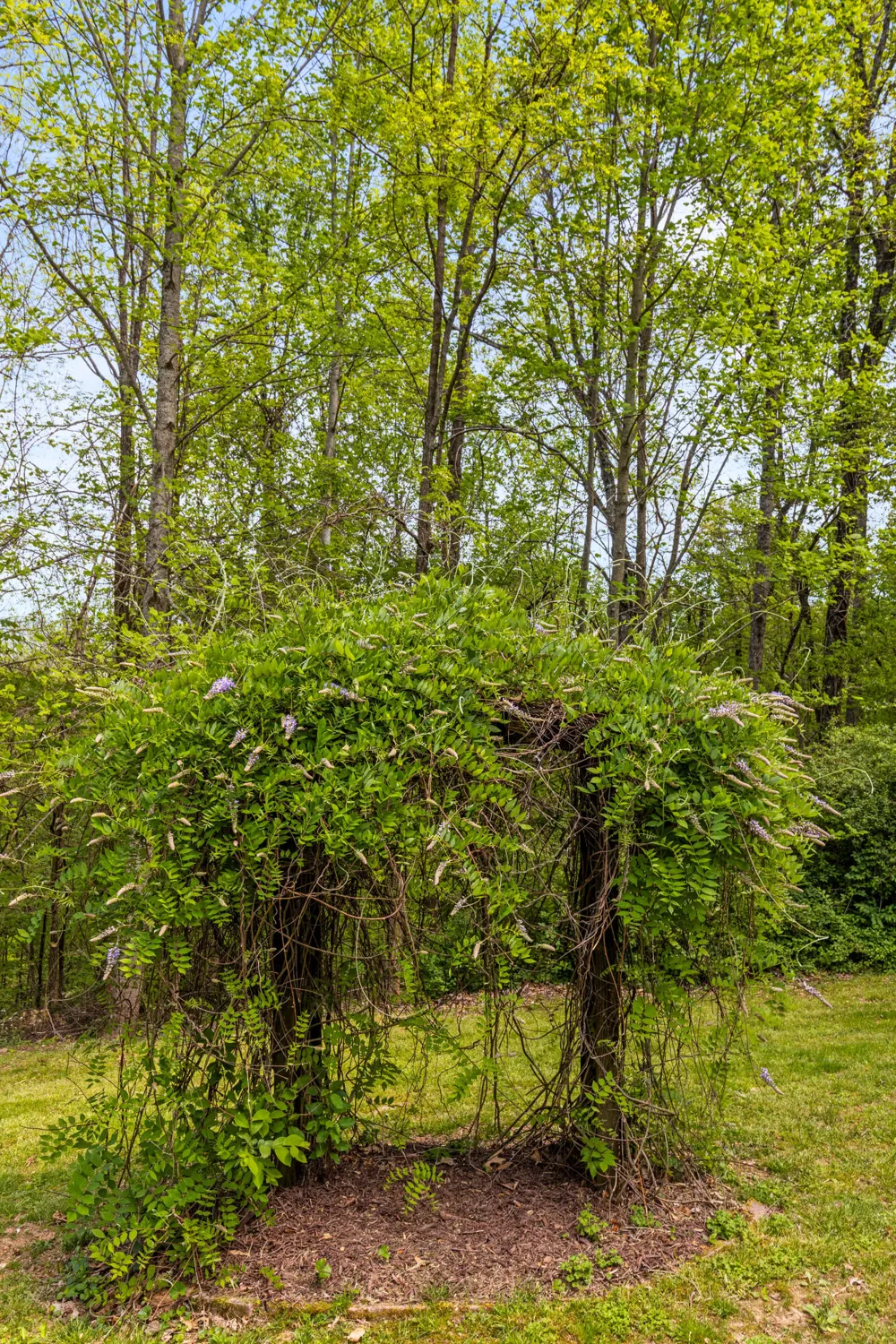 3850 Stagecoach Road South Pittsburg, TN 37380