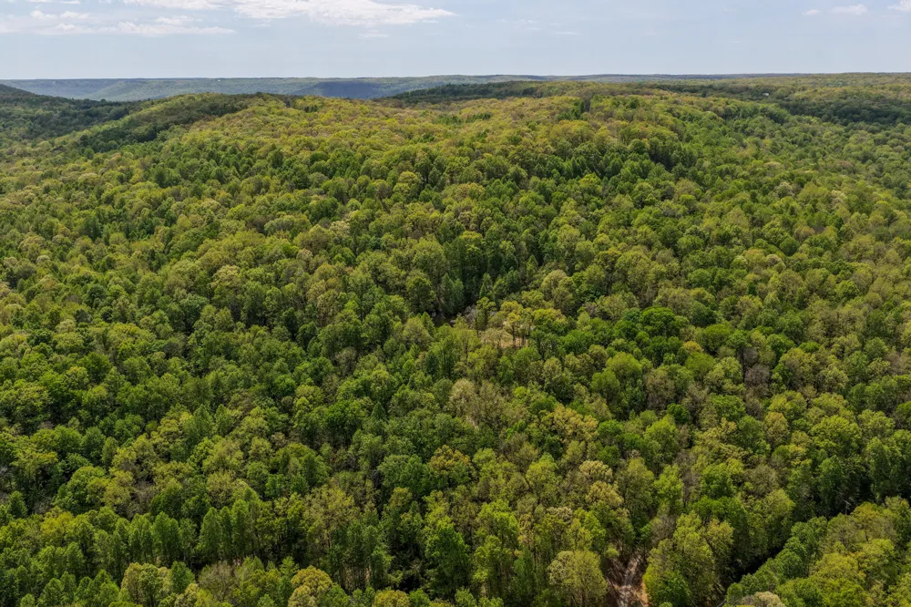 3850 Stagecoach Road South Pittsburg, TN 37380