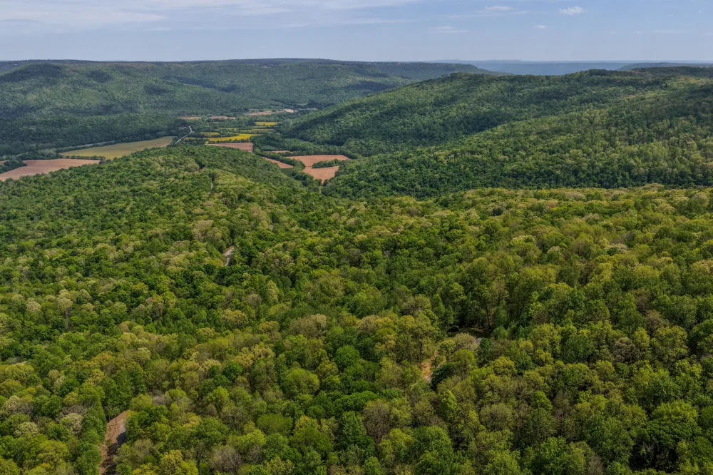 3850 Stagecoach Road South Pittsburg, TN 37380