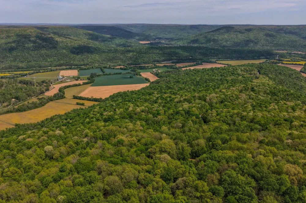 3850 Stagecoach Road South Pittsburg, TN 37380