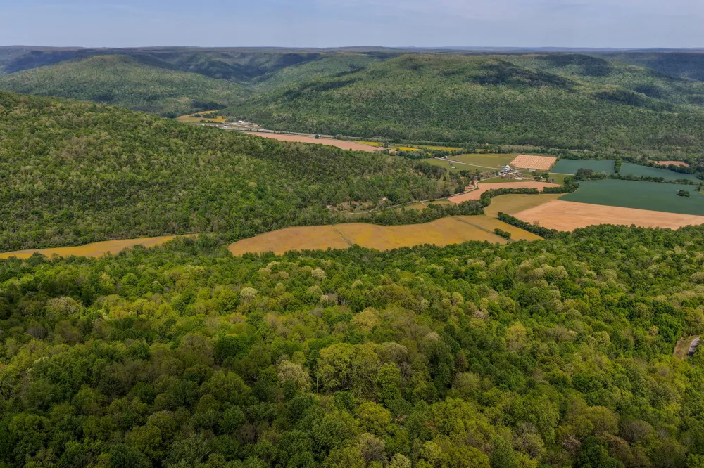 3850 Stagecoach Road South Pittsburg, TN 37380