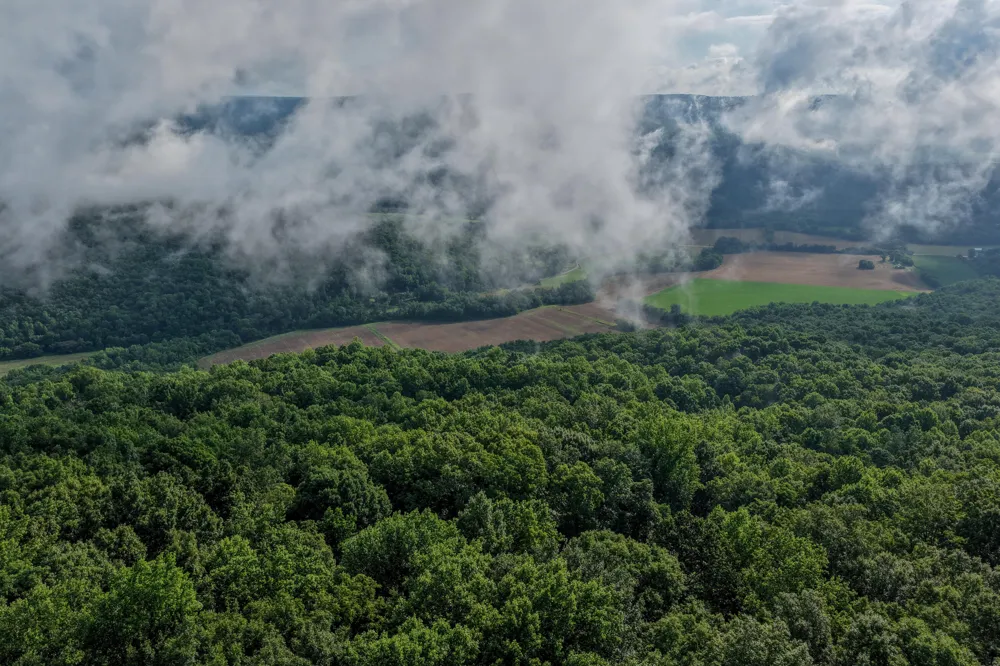 3850 Stagecoach Road South Pittsburg, TN 37380