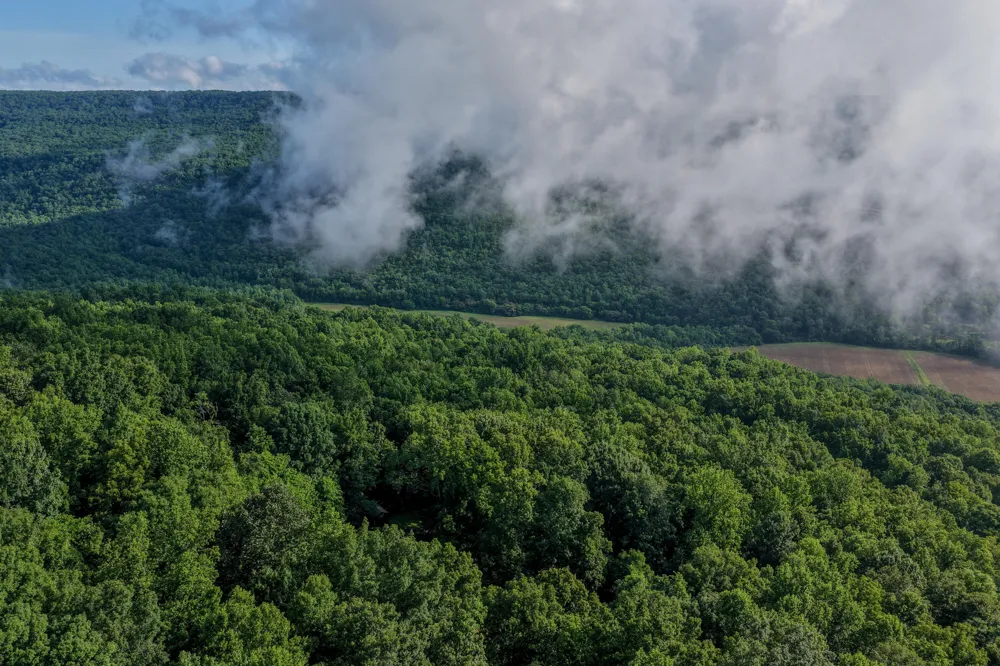 3850 Stagecoach Road South Pittsburg, TN 37380
