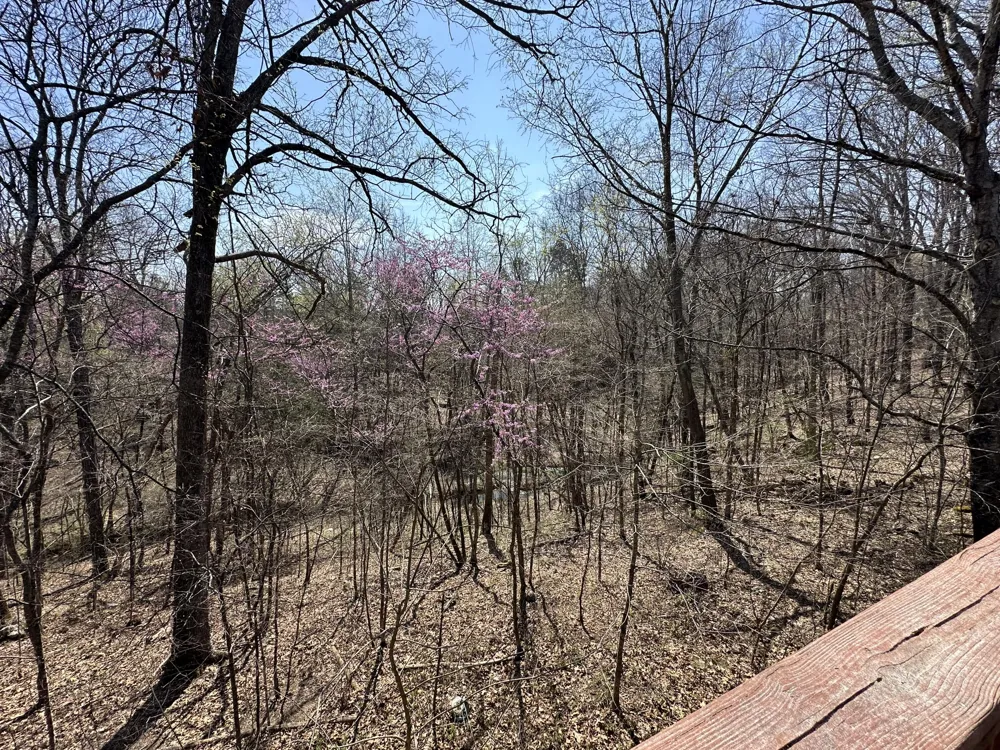 7312 Highway 60 Georgetown, TN 37336