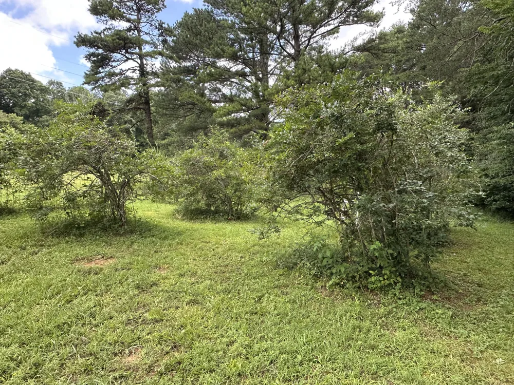 7312 Highway 60 Georgetown, TN 37336