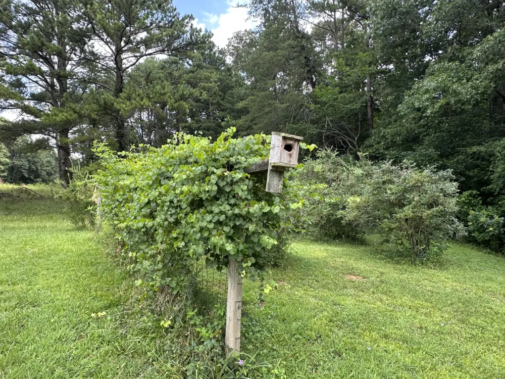 7312 Highway 60 Georgetown, TN 37336