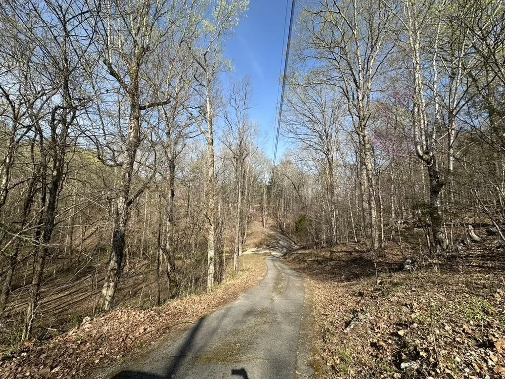 7312 Highway 60 Georgetown, TN 37336
