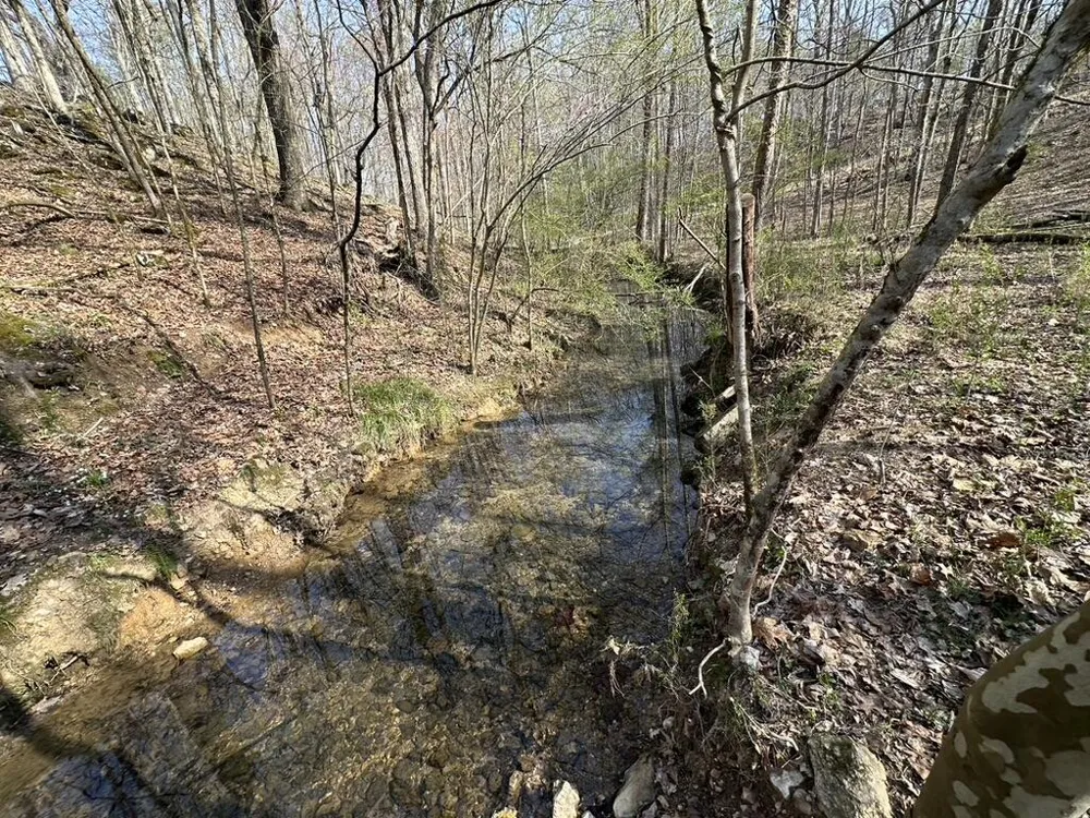 7312 Highway 60 Georgetown, TN 37336