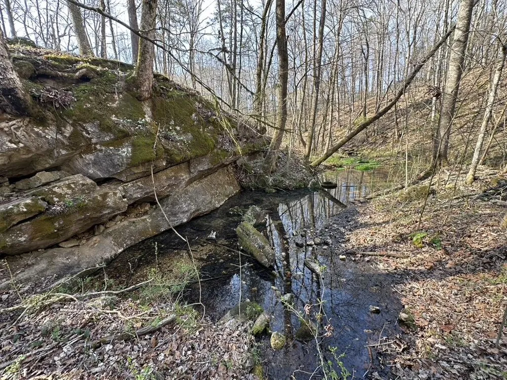 7312 Highway 60 Georgetown, TN 37336