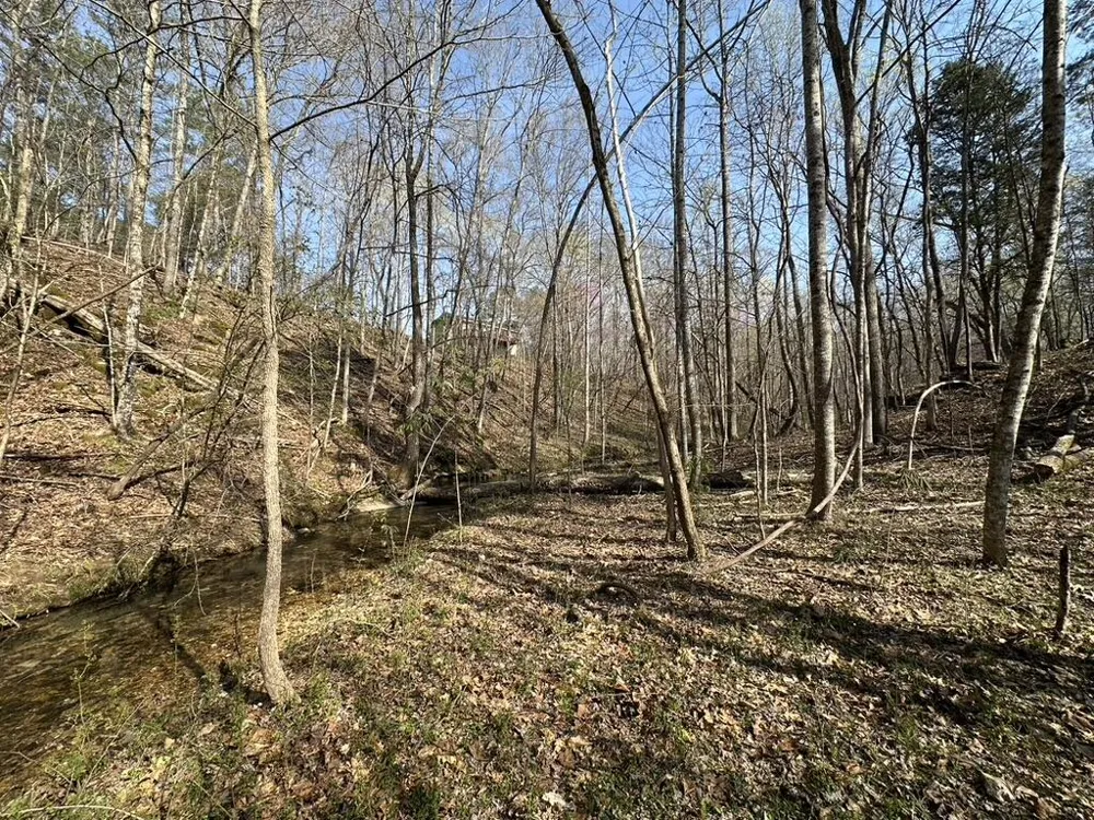 7312 Highway 60 Georgetown, TN 37336