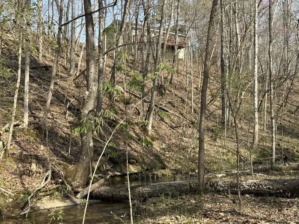 7312 Highway 60 Georgetown, TN 37336