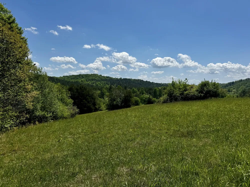 Goodfield Terrace Decatur, TN 37322