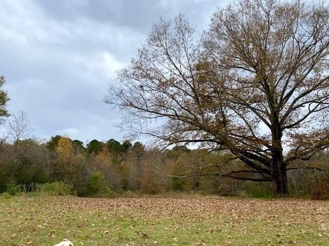 1639 Tennga Gregory Road Crandall, GA 30711