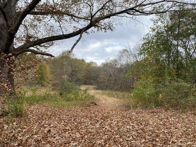 1639 Tennga Gregory Road Crandall, GA 30711