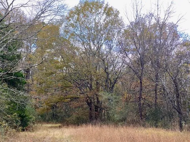 1639 Tennga Gregory Road Crandall, GA 30711