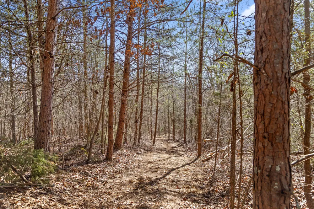 Andy Thomas Rd Road Dayton, TN 37321