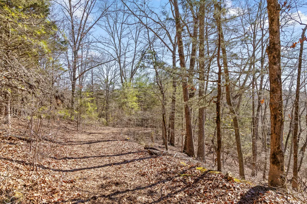 Andy Thomas Rd Road Dayton, TN 37321