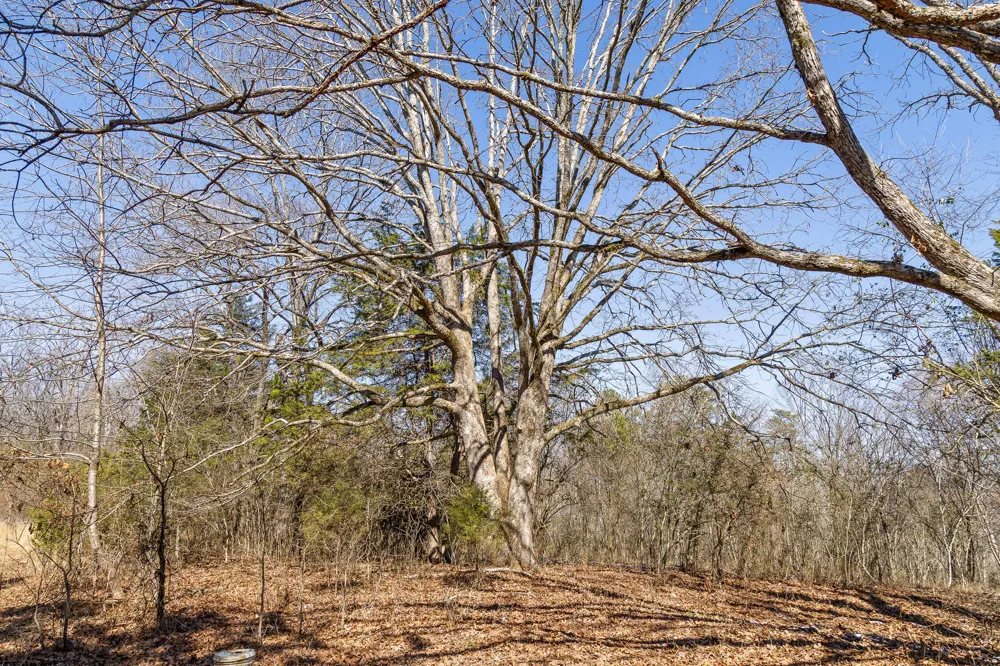 Andy Thomas Rd Road Dayton, TN 37321