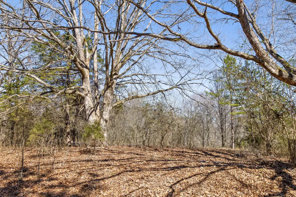 Andy Thomas Rd Road Dayton, TN 37321