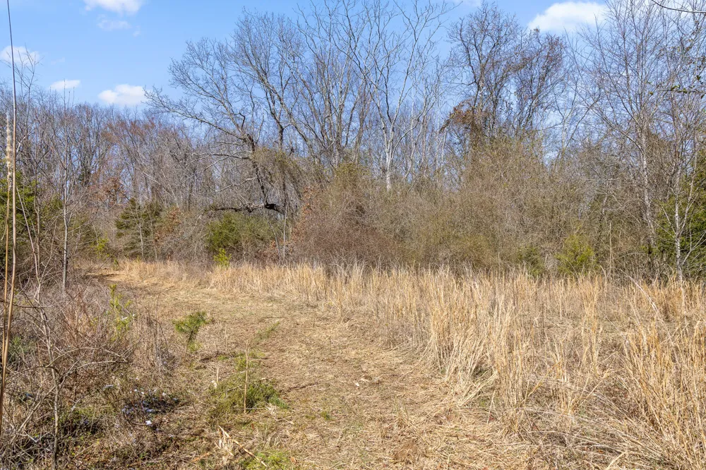 Andy Thomas Rd Road Dayton, TN 37321