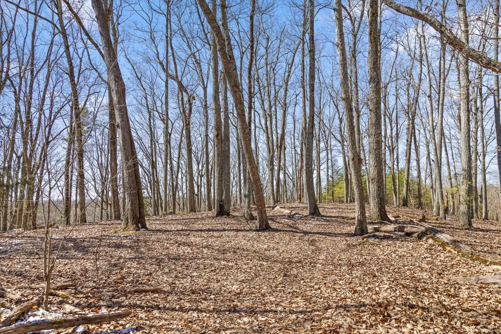 Andy Thomas Rd Road Dayton, TN 37321