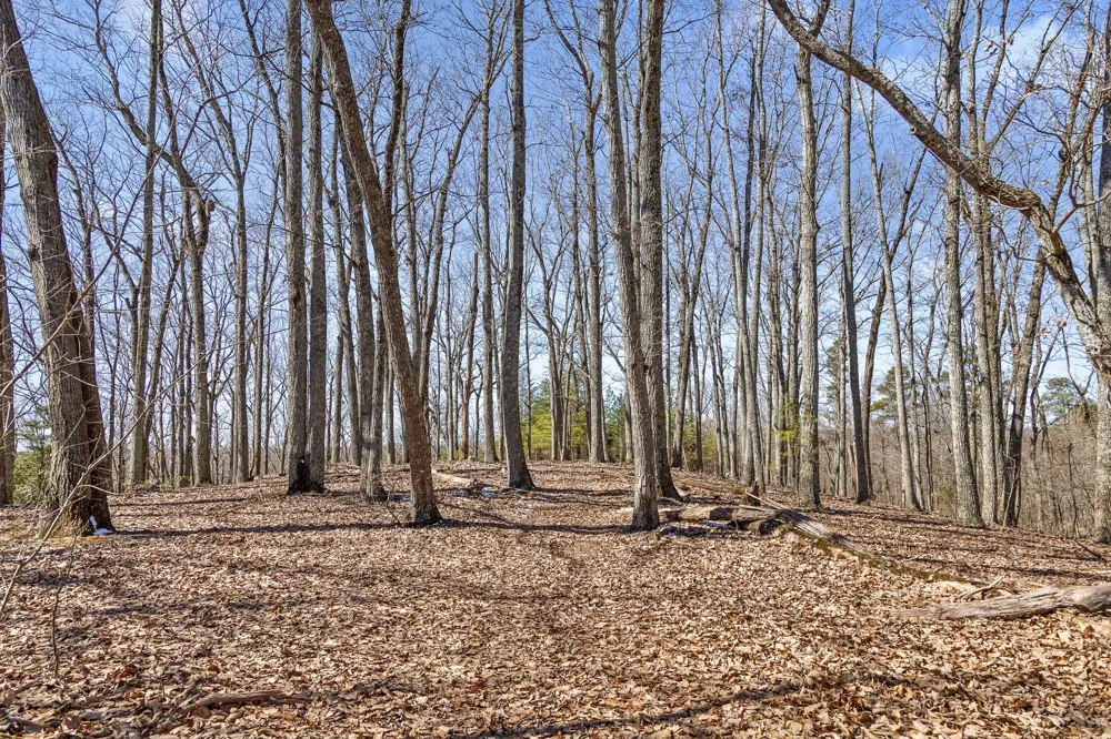 Andy Thomas Rd Road Dayton, TN 37321