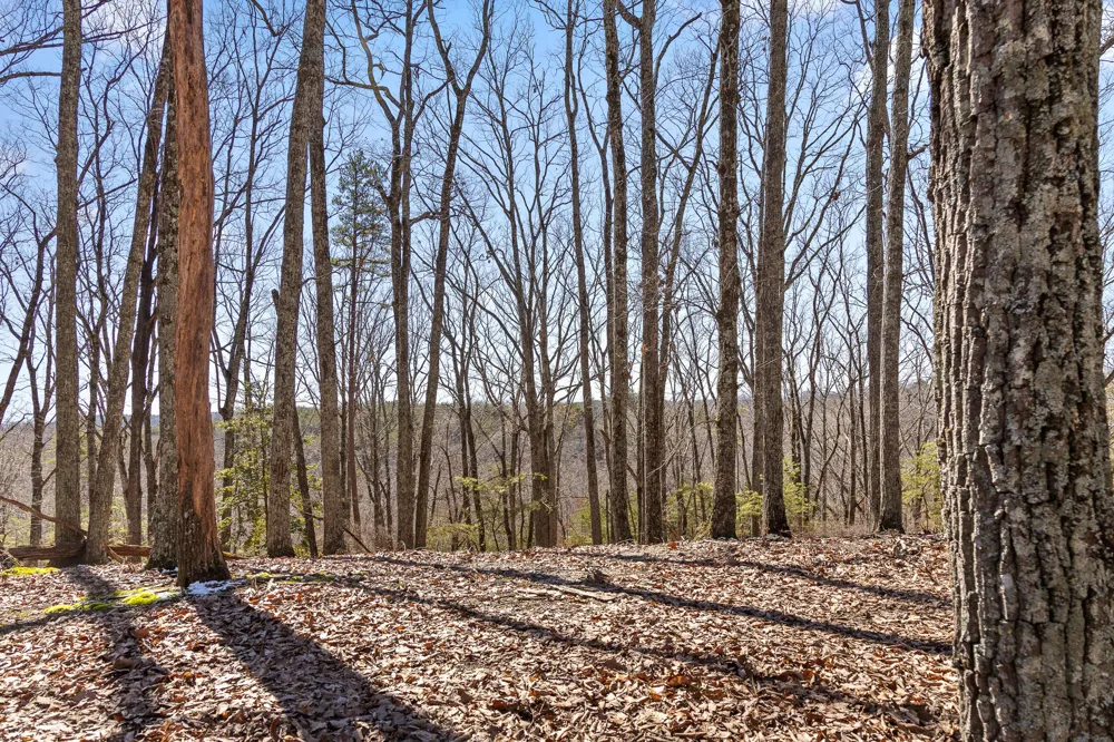 Andy Thomas Rd Road Dayton, TN 37321