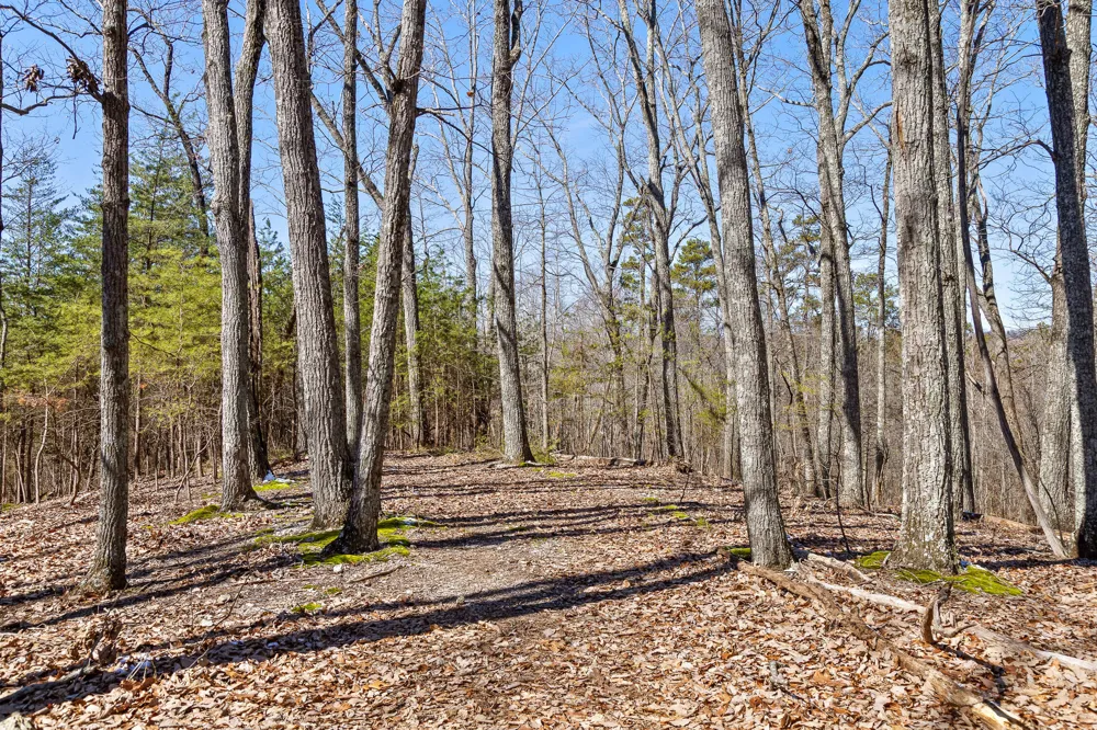 Andy Thomas Rd Road Dayton, TN 37321