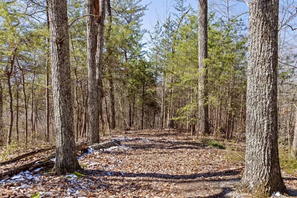Andy Thomas Rd Road Dayton, TN 37321