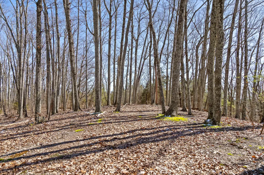 Andy Thomas Rd Road Dayton, TN 37321