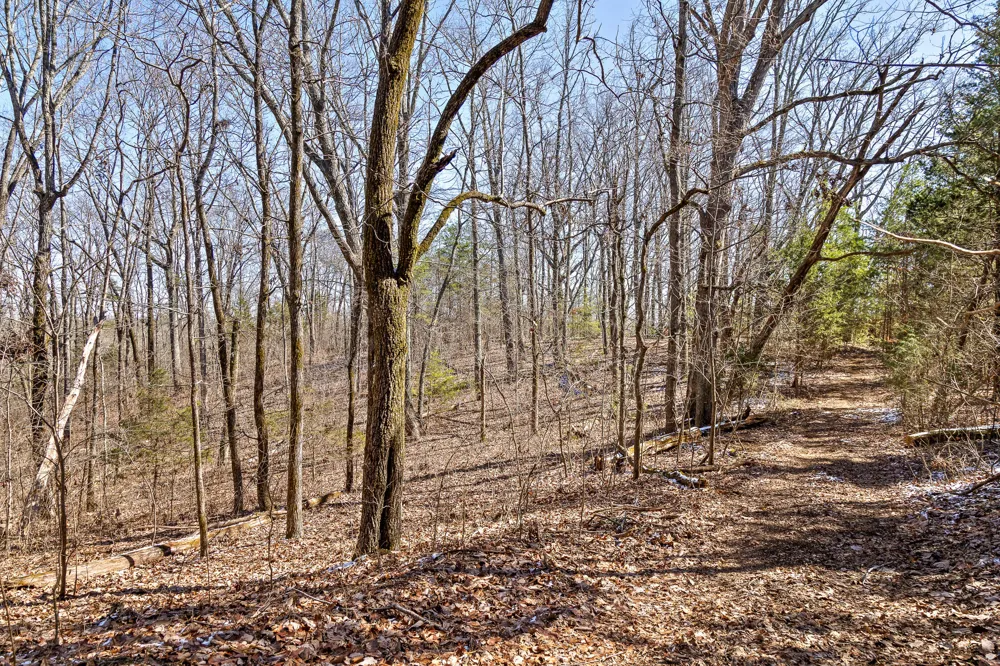 Andy Thomas Rd Road Dayton, TN 37321