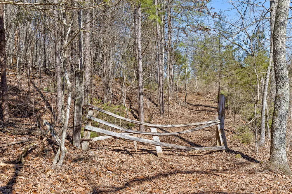 Andy Thomas Rd Road Dayton, TN 37321